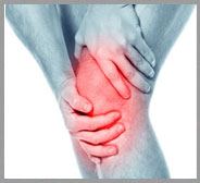 Knee Pain 