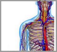 Thoracic Outlet Syndrome